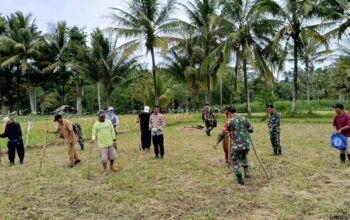 Seorang anggota TNI sedang menanam benih jagung di lahan pertanian Koramil Kepanjen Malang