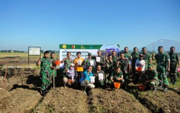 optimalkan lahan tidur untuk program ketahanan pangan