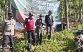 Danramil Jabung Kapten Arm Sunardi bersama Muspika Jabung melaksanakan kegiatan penanaman 1000 pohon lahan kritis