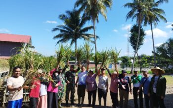 Wujudkan Ketahanan Pangan Di Wilayah Kodim 0818/Malang-Batu, Batiwanwil Serma Sriono Hadir Dalam Kegiatan Panen Padi Di Desa Kanigoro