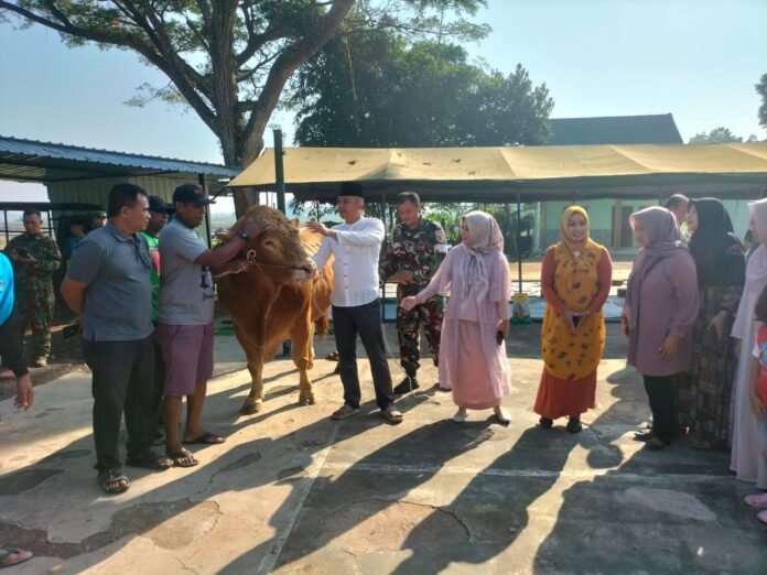 Kodim 0818/Malang-Batu gelar potong hewan qurban hari raya idul adha 1445 H