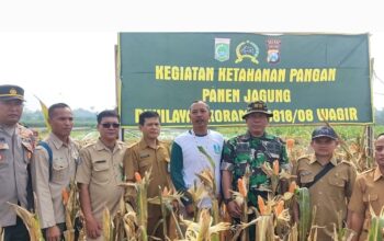Ketahanan panagan di wilayah binaan Koramil 0818/08 Wagir