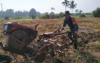 Serka Mansur Bantu Petani Desa Pendem Bajak Sawah