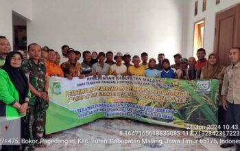 Babinsa Sedayu Turen Dukung Ketahanan Pangan Lewat Bimtek Sekolah Lapang Padi Hibrida