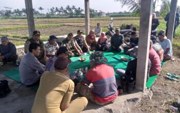 urung rembuk untuk kemajuan pertanian gondanglegi