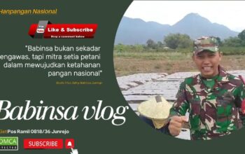 Babinsa Junrejo membantu petani di sawah
