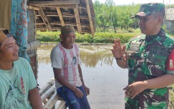 Babinsa Pandanlandung sedang melaksanakan Komos dengan Kelompok petani Landungsari 1 di sawah Desa Pandanlandung