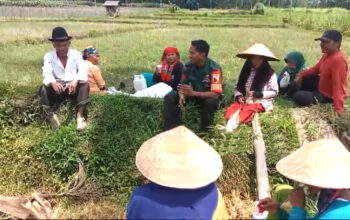 Koptu Okrayanto Sapa Petani di Desa Kuwolu