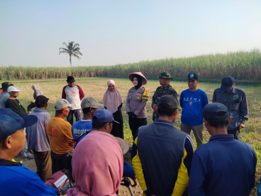 Acara Susuk Wangan di Pagelaran