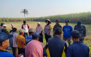 Acara Susuk Wangan di Pagelaran