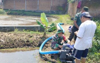 serda hanfi dan petani manfaatkan pompa air dari Kementan untuk pengolahan sawah