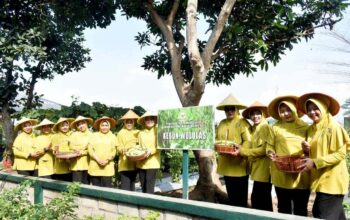 perrsit kodim 0818 panen sayuran