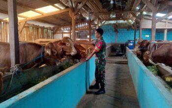 Serda anggga Babinsa Kebobang Koramil 0818-32/wonosari