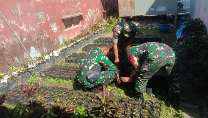 kegiatan persiapan penyemaian bibit pohon trembesi oleh Koramil Bumiaji Kodim 0818 Malang-Batu, menunjukkan 1000 polibek yang siap digunakan.