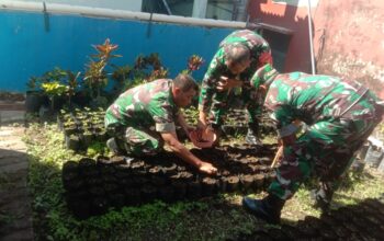 Koramil Bumiaji Kodim 0818 Malang-Batu: Inisiatif Program Penghijauan dengan Penyemaian dan Pembibitan Pohon Trembesi