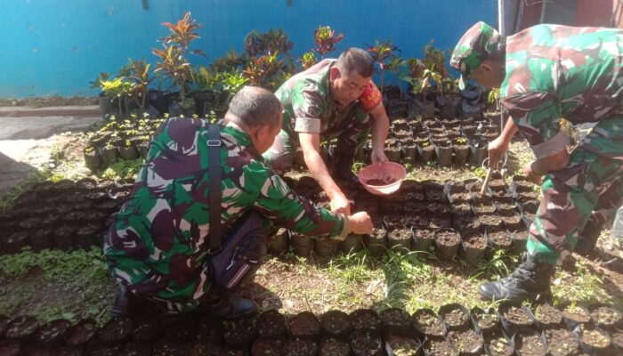 Koramil Bumiaji Kodim 0818 Malang-Batu menyemaikan bibit pohon trembesi untuk program penghijauan