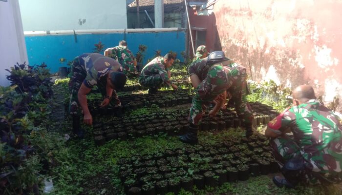 Koramil 0818-33/Bumiaji meluncurkan program penghijauan dengan penyemaian 1000 bibit pohon trembesi untuk antisipasi tanah longsor dan banjir.