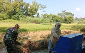 Babinsa KOramil 0818/31 Gedangan Sertu Sunaryo