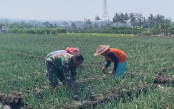 Babinsa Posramil 0818-02/Junrejo, Serda Achiyak