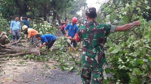 Evakuasi pohon tumbang oleh anggota TNI dan relawan di Pakisaji akibat bencana ala