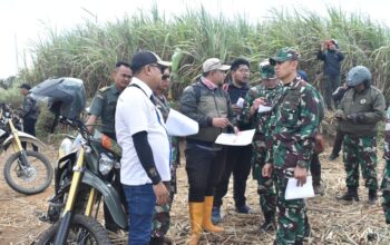 ketahanan pangan untuk warga sumbermanjing wetan