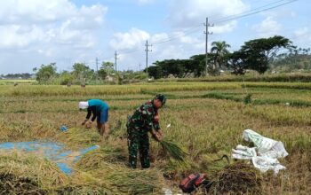 Babinsa Majang tengah Sertu Fajar