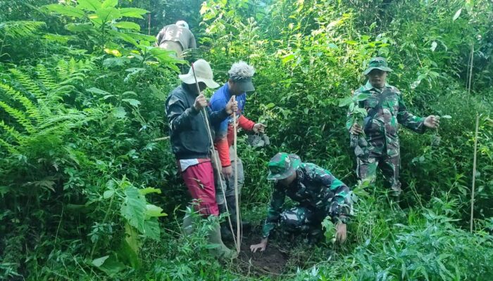 Penanaman pohon oleh TNI Bersama Rakyat Bersatu di Desa Sumberbrantas.