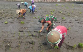 Babinsa Sertu Abd Faruq