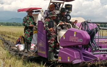 Pelatihan Combine Harvester