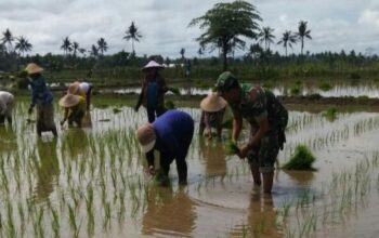 Sertu Riyanto babinsa Wajak