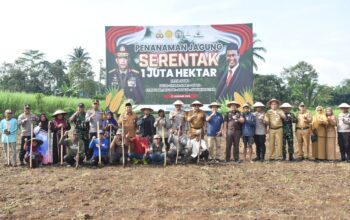 Penanaman Jagung Serentak Satu Juta Hektar