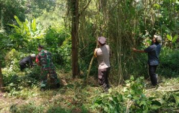 Pembersihan di Pantai Ngudel