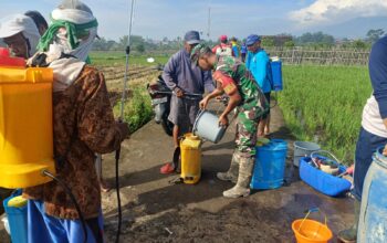 Sertu Fahmi Babinsa Ngenep