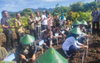 anam cabai berkualitas bersama Pemkot Batu di Desa Bulukerto