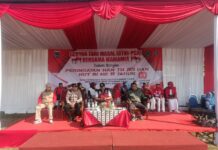 Danramil Jabung Hadiri Gebyar Tari dan Senam Massal “Mamamia” di Hari Anak Nasional dan HUT RI ke-80 Senam Mamia